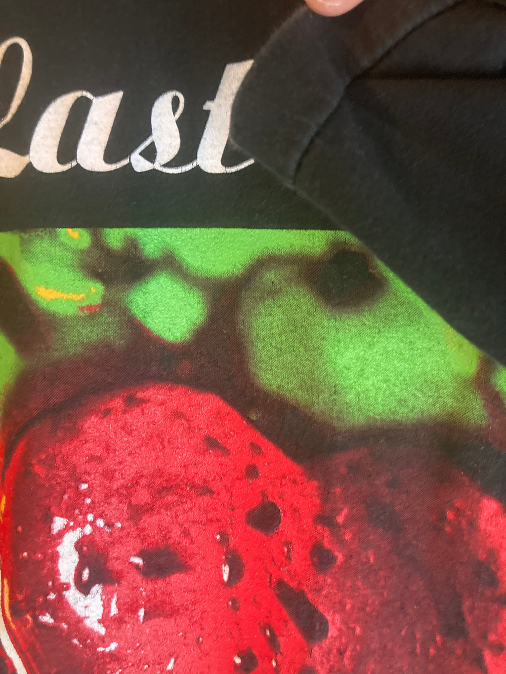 1990s the breeders the last splash euro promo OG owner XL
