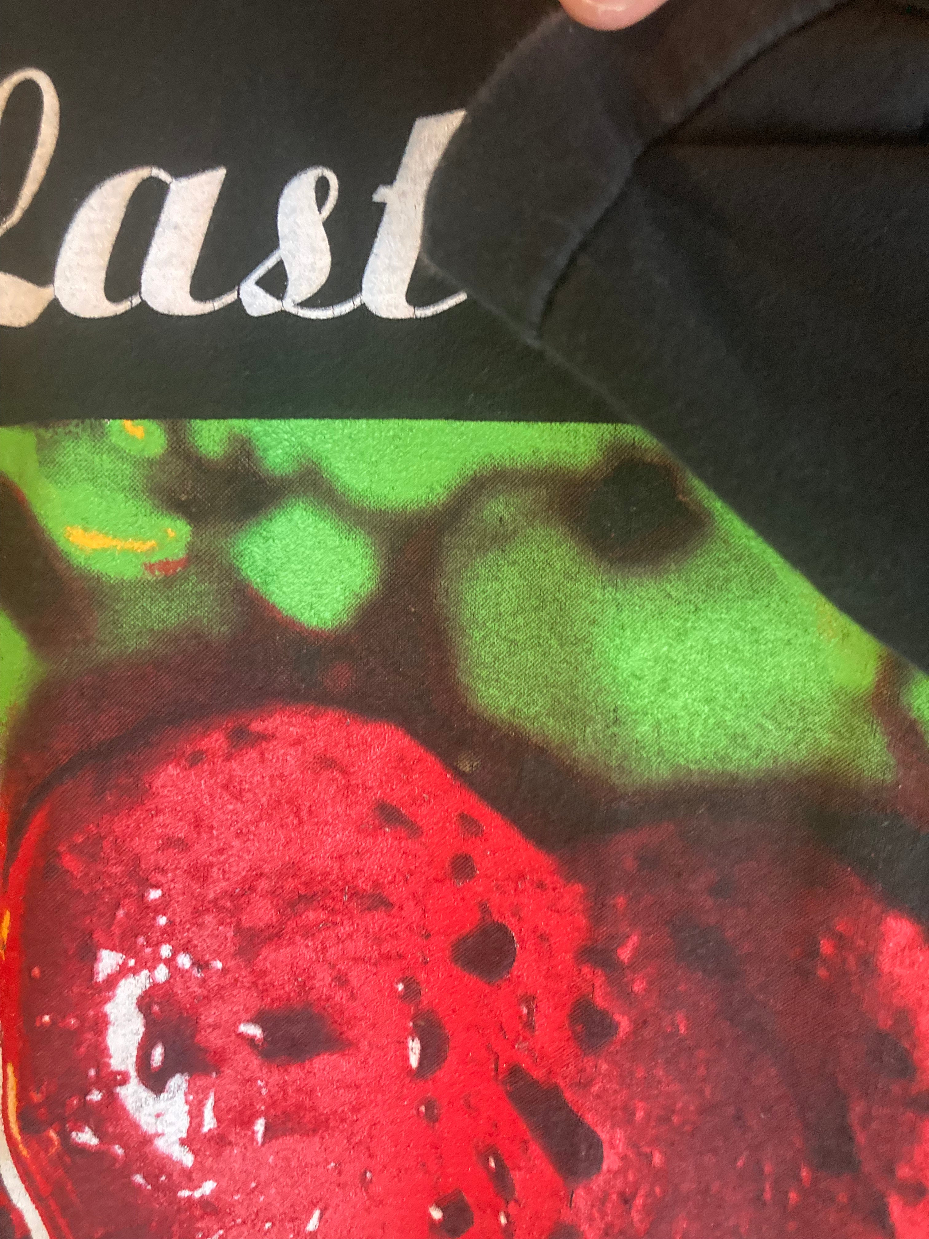 1990s the breeders the last splash euro promo OG owner XL
